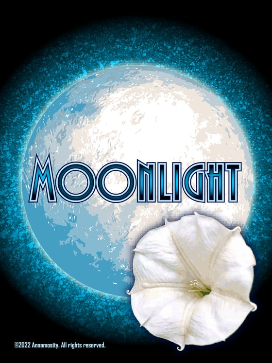 Image of Moonlight - Bar Soap