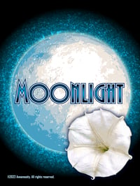 Image 1 of Moonlight - Bar Soap