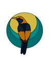 Regent Bowerbird Sticker & Magnet (Free Shipping)