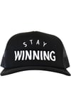 Stay Winning Fortune Frogs Black Trucker Hat