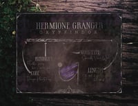 Image 4 of The Students