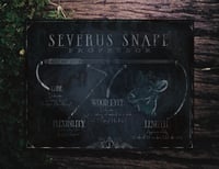 Image 2 of The Professors