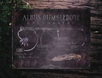 Image 3 of The Professors