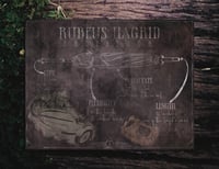 Image 4 of The Professors