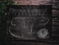 Image 5 of The Professors