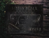 Image 2 of Magical Supporters