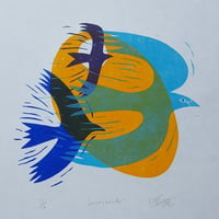 Image 2 of Sun birds