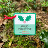 Spotty Dawdlers - Wild Yuletide