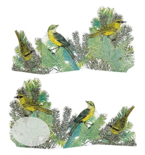 Image of Yellow Wagtails JL3D093