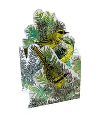 Image 1 of Yellow Wagtails JL3D093