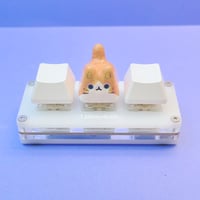 Image 1 of orange tabby cat ceramic keycap