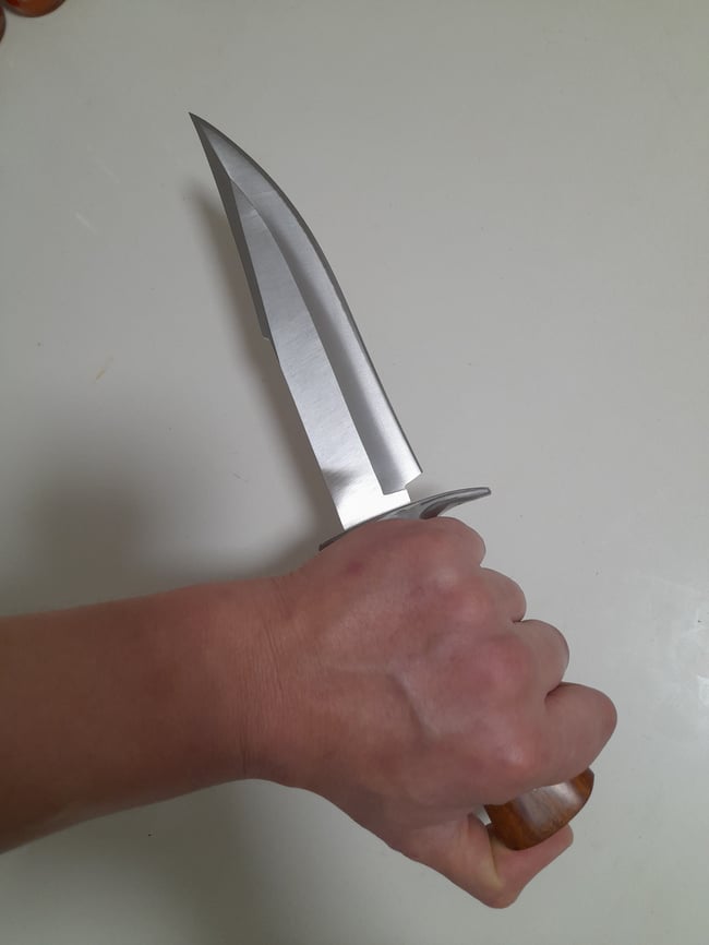 Fixed Blade Large Bowie Knife Camping Hunting Survival Knife