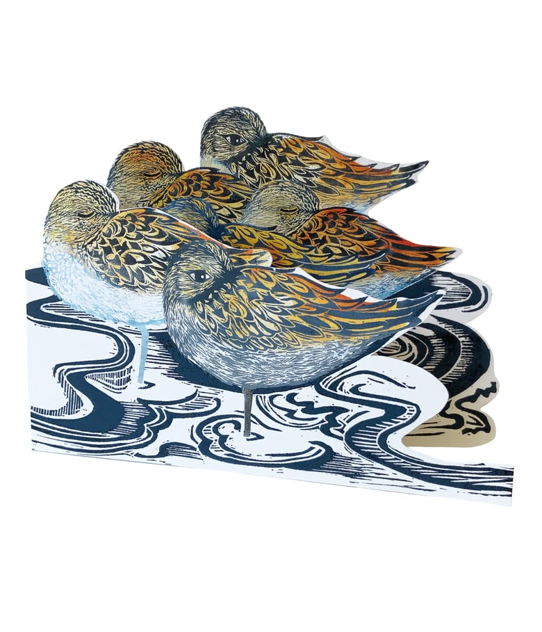 Image of Sandpipers JL3D095