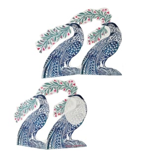 Image of Festoon birds JL3D098