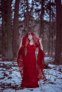 Image 1 of Red elven dress