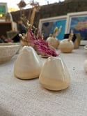 Volcán flowerpot. 