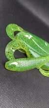Whip wad SB chartreuse pepper