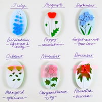 Image 2 of Months and Meanings Flower Brooches (July to December)