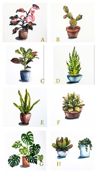 Cactus/Succulent Prints
