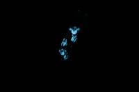 Image 4 of Glow in the Dark - Glass Straw