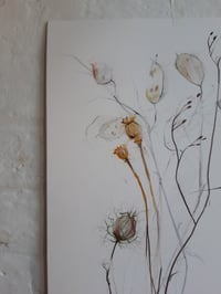 Image 2 of Autumn seed heads no. 1