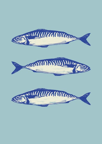 Image of Three mackerel