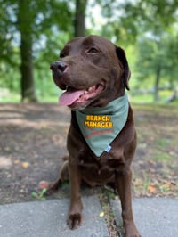 Image 3 of Branch Manager 
