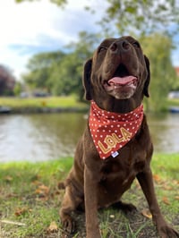 Image 3 of Rusty Stars PERSONALISED bandana 