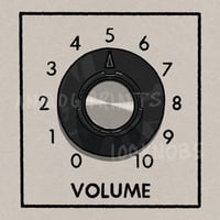 #100knobs  016/100 Electro Piano Volume Control POSTER