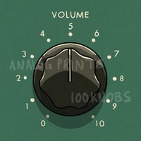 #100knobs  018/100 436 C Volume Control POSTER