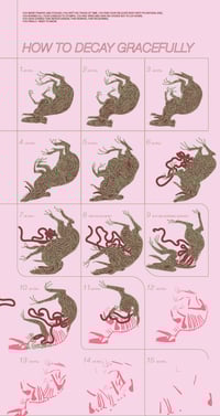 How To Decay Gracefully Poster (Price Includes Shipping!)