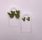 Image of Nopal Leather Earrings