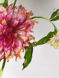 Image 3 of Dahlias | The Majesty of an Ending