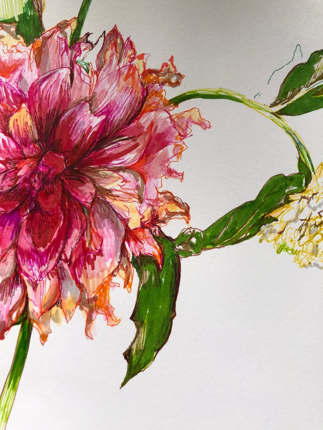 Dahlias | The Majesty of an Ending