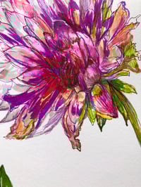 Image 1 of Dahlias | The Majesty of an Ending