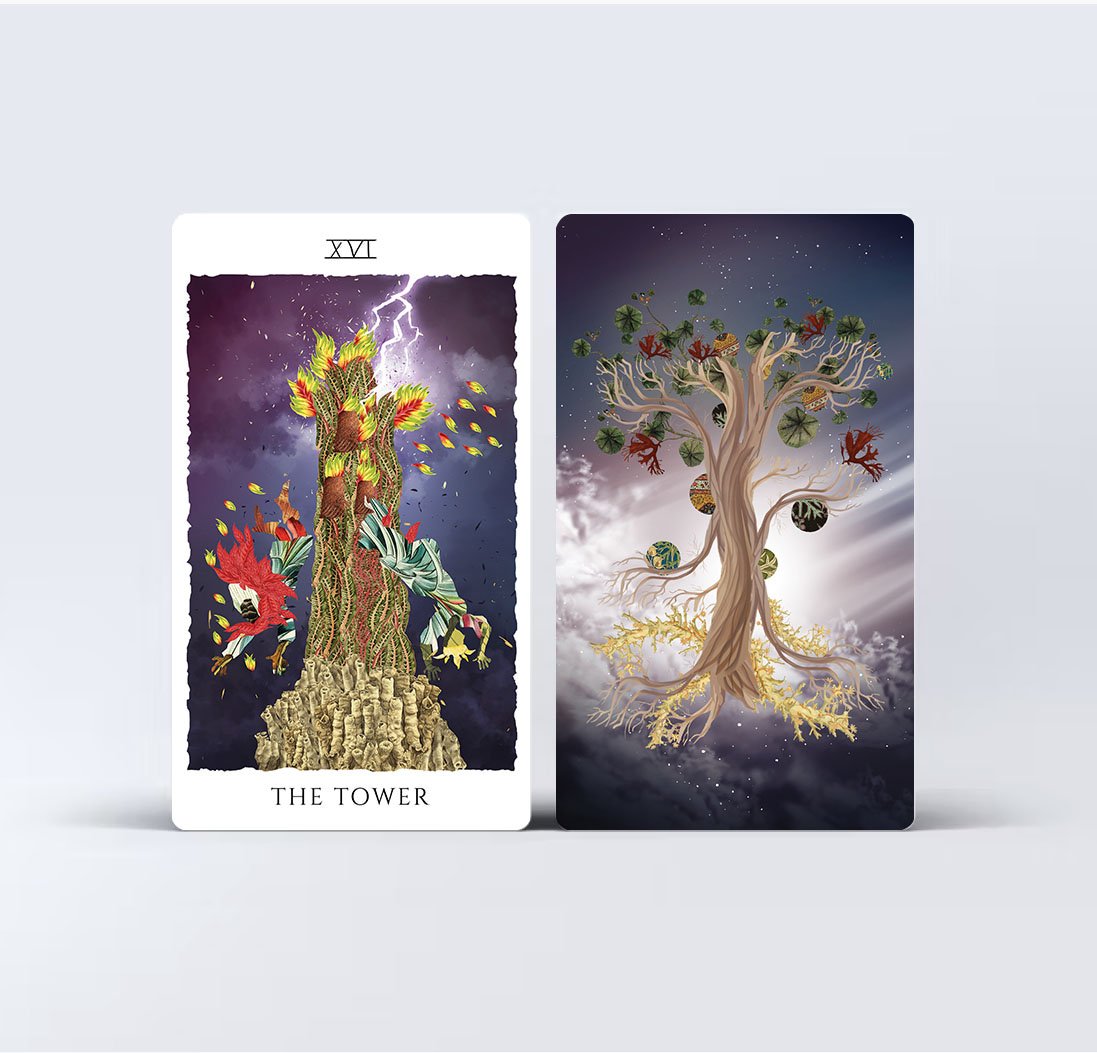 Rooted in dreams Tarot Deck ( this edition doesn't have packaging )