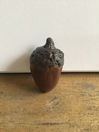 Image 2 of Acorn 