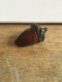 Image 3 of Acorn 