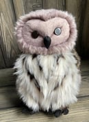Image 2 of Owl Friend Sample