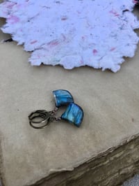 Image 5 of Labradorite earrings / n22