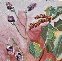 Image 3 of desert blooms