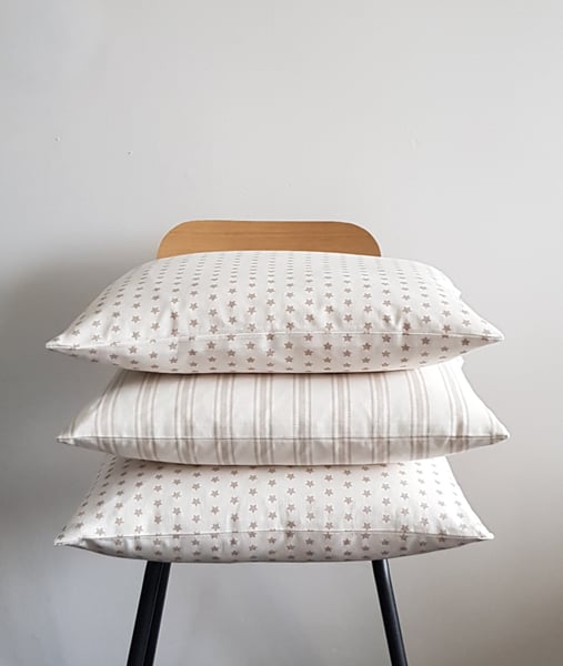 Image of Rectangular Scatter Cushion  
