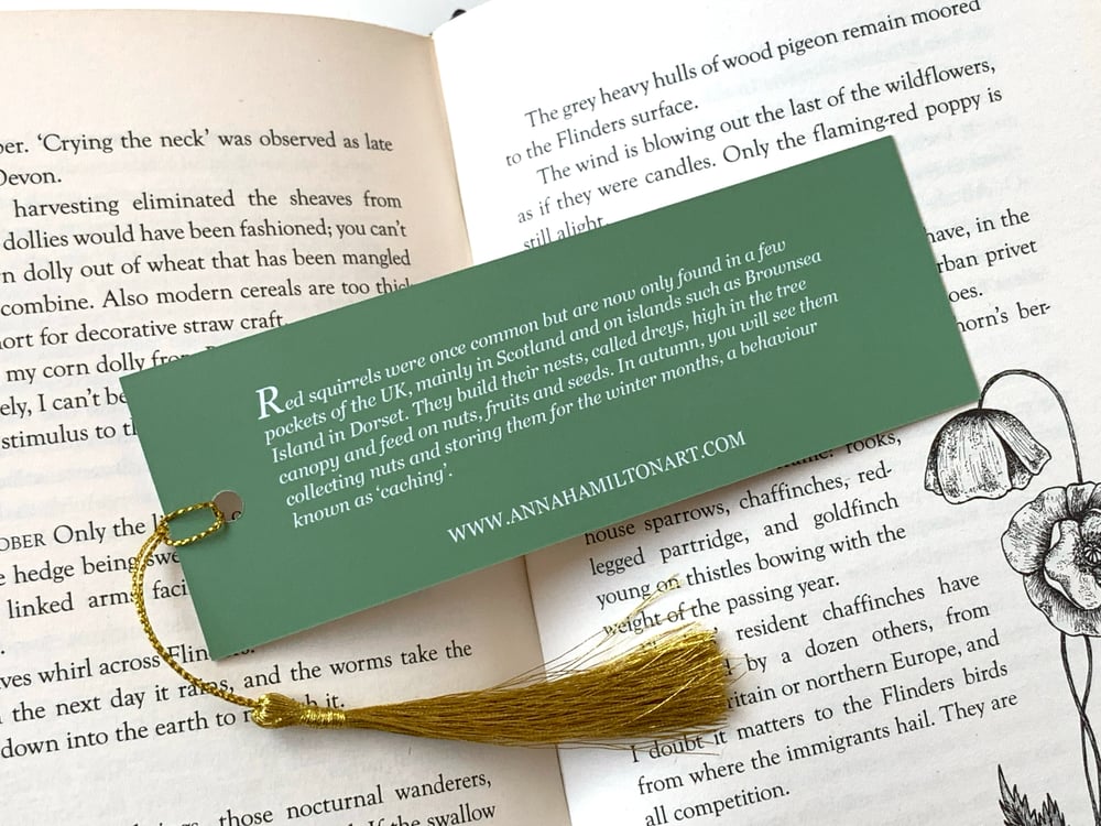 Image of Red squirrel bookmark