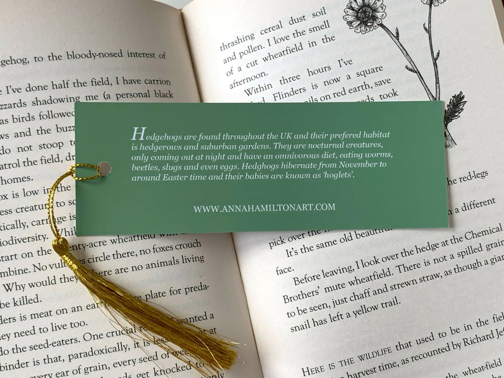 Image of Hoglets Bookmark