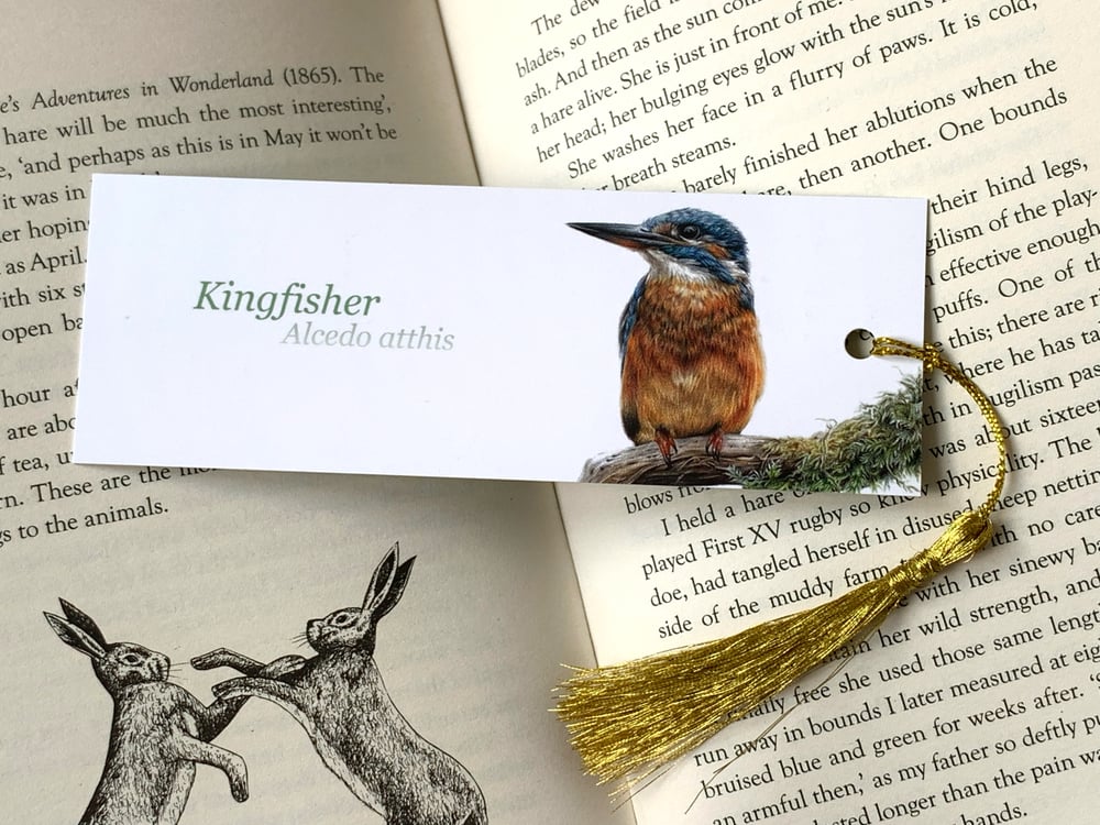Image of Kingfisher Bookmark
