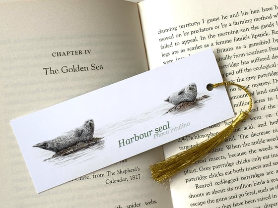 Image of Harbour Seal bookmark