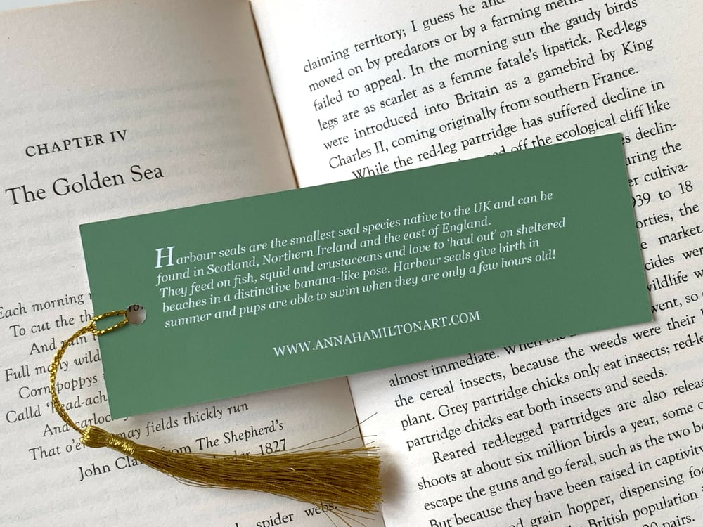 Image of Harbour Seal bookmark