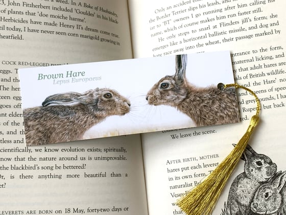 Image of Hares Bookmark