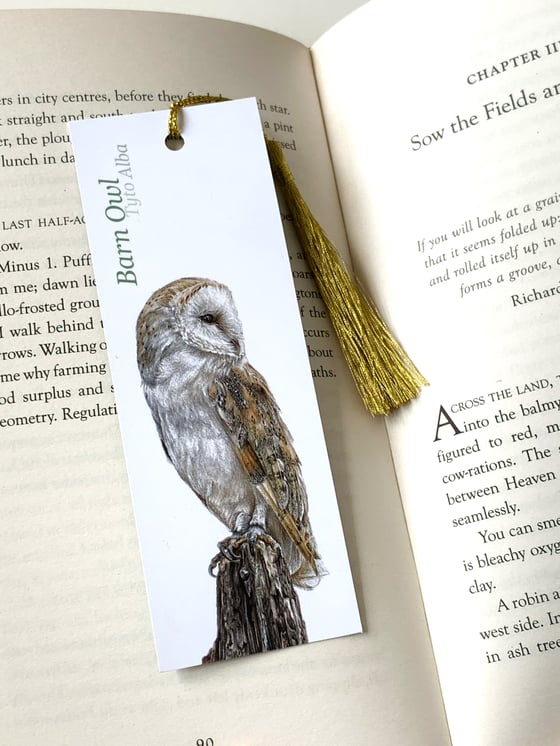 Image of Barn Owl Bookmark