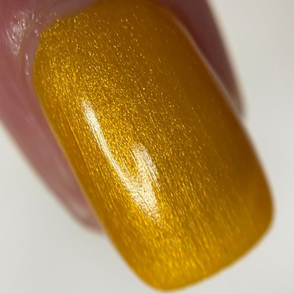 Midnight Gala Nail Polish